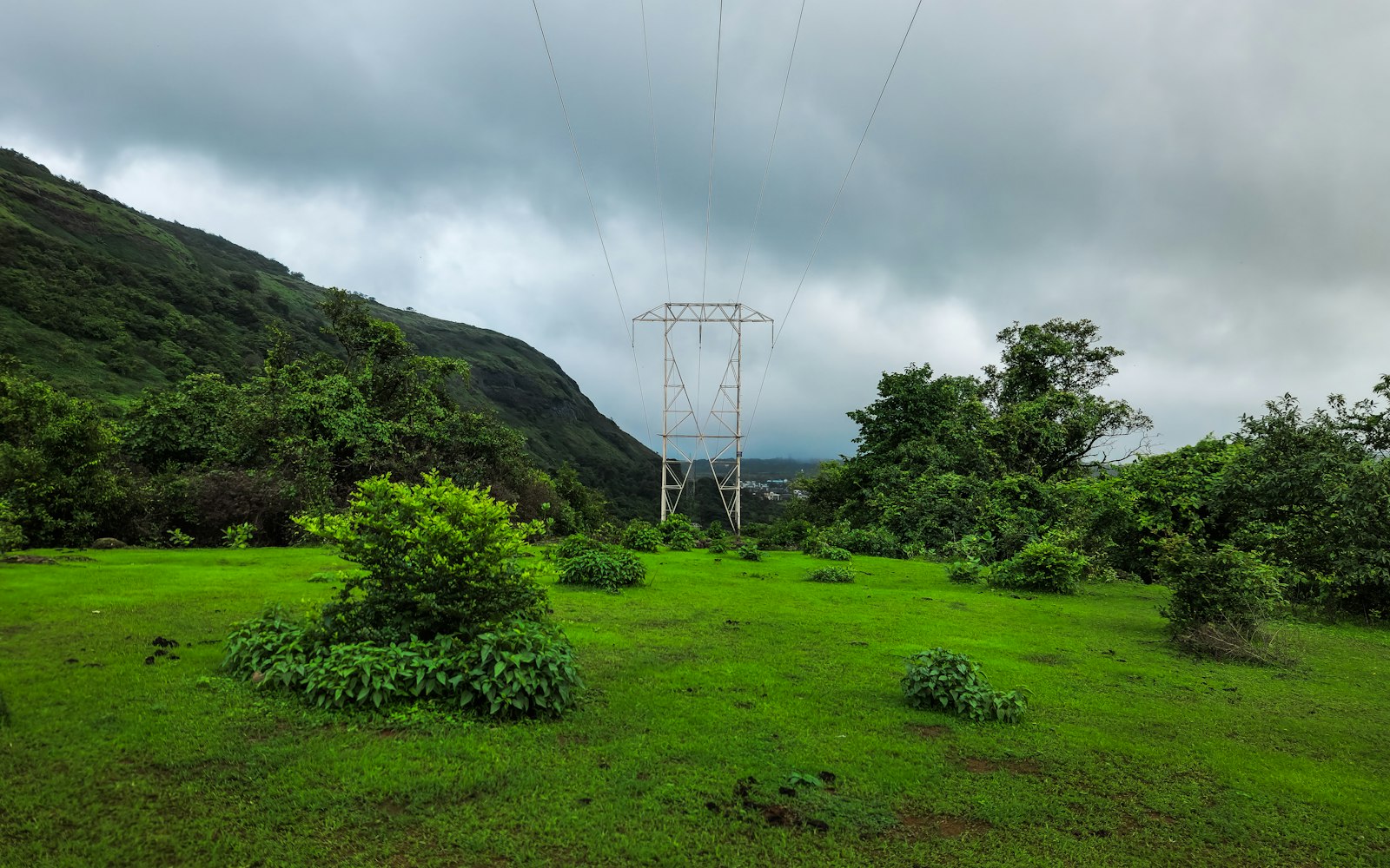 Green fields with mountain views
